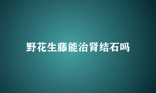 野花生藤能治肾结石吗