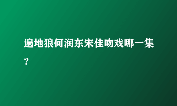 遍地狼何润东宋佳吻戏哪一集？