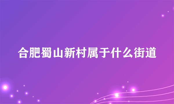 合肥蜀山新村属于什么街道