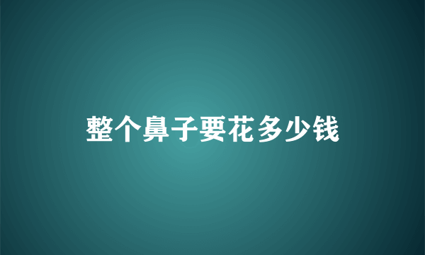 整个鼻子要花多少钱