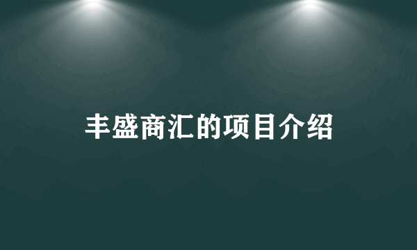 丰盛商汇的项目介绍