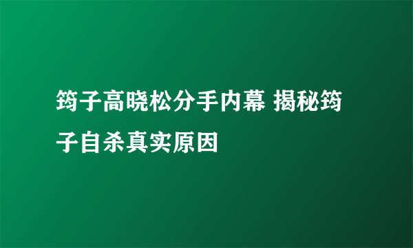 筠子高晓松分手内幕 揭秘筠子自杀真实原因