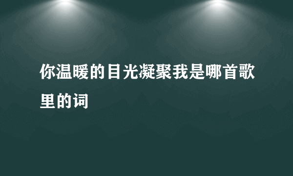 你温暖的目光凝聚我是哪首歌里的词