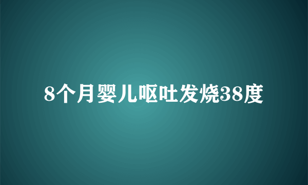 8个月婴儿呕吐发烧38度