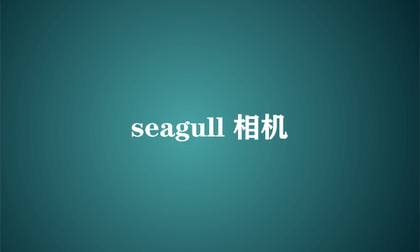 seagull 相机