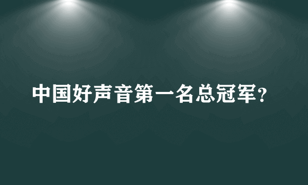 中国好声音第一名总冠军？