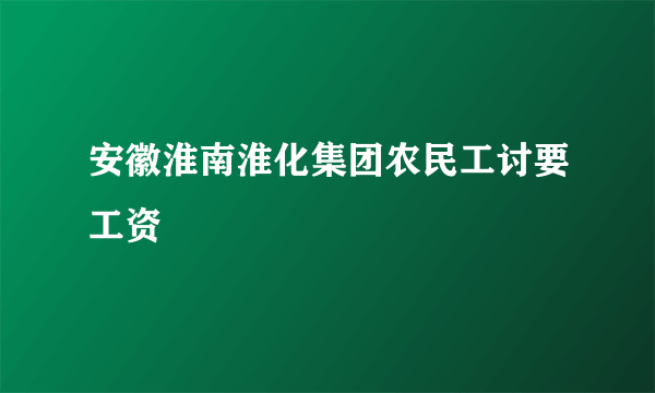 安徽淮南淮化集团农民工讨要工资