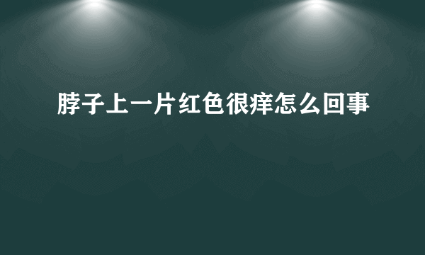 脖子上一片红色很痒怎么回事