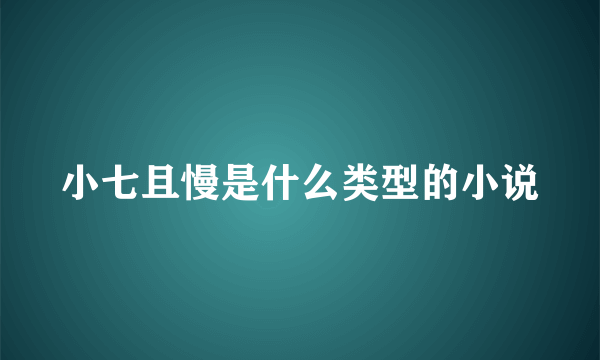 小七且慢是什么类型的小说