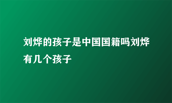 刘烨的孩子是中国国籍吗刘烨有几个孩子