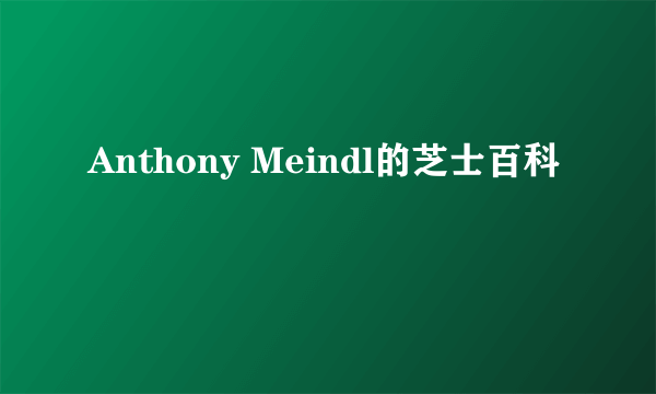 Anthony Meindl的芝士百科