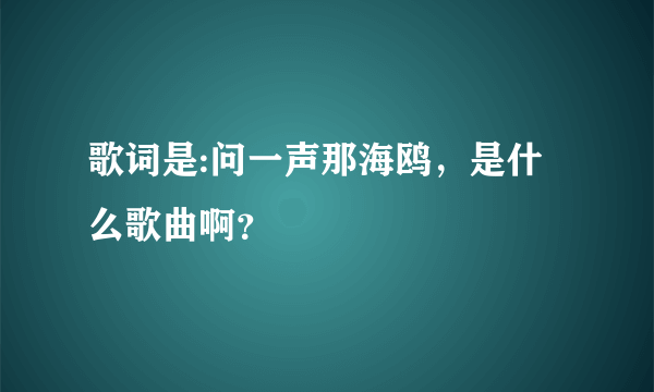 歌词是:问一声那海鸥，是什么歌曲啊？