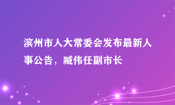 滨州市人大常委会发布最新人事公告，臧伟任副市长