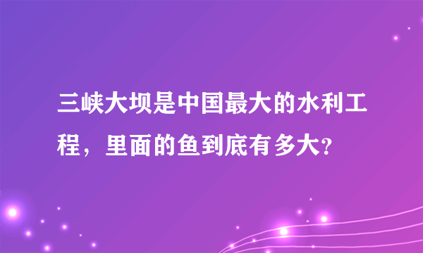 三峡大坝是中国最大的水利工程，里面的鱼到底有多大？