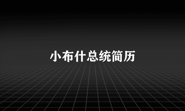 小布什总统简历