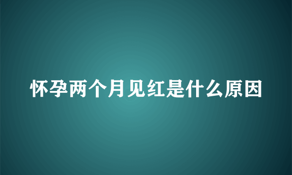 怀孕两个月见红是什么原因