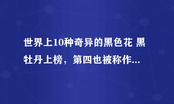 世界上10种奇异的黑色花 黑牡丹上榜，第四也被称作“情花”