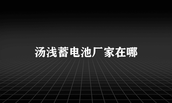 汤浅蓄电池厂家在哪