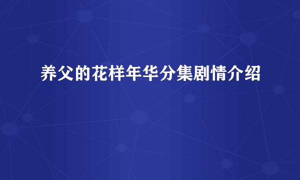 养父的花样年华分集剧情介绍