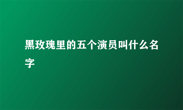 黑玫瑰里的五个演员叫什么名字