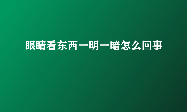 眼睛看东西一明一暗怎么回事