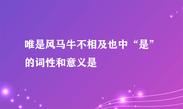 唯是风马牛不相及也中“是”的词性和意义是