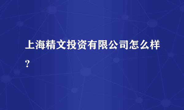 上海精文投资有限公司怎么样？