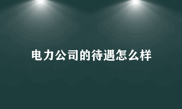 电力公司的待遇怎么样