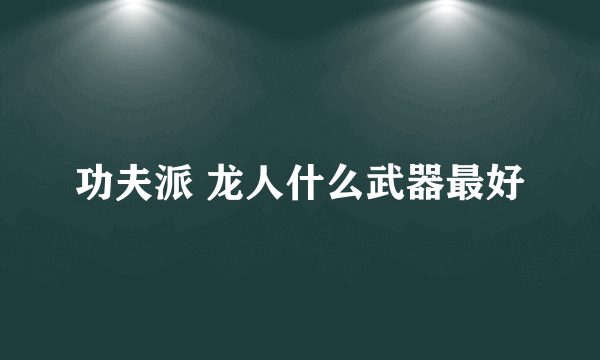 功夫派 龙人什么武器最好