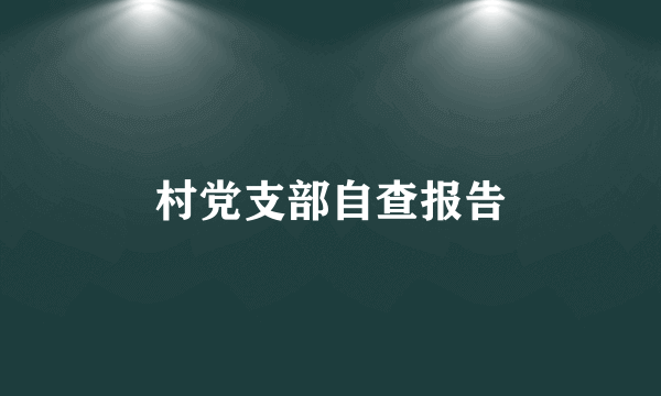 村党支部自查报告