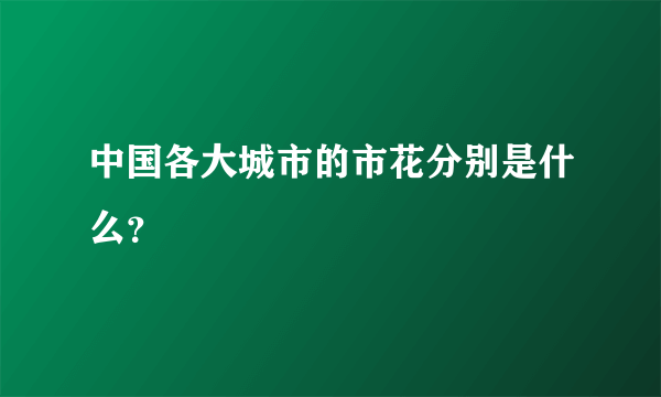 中国各大城市的市花分别是什么？