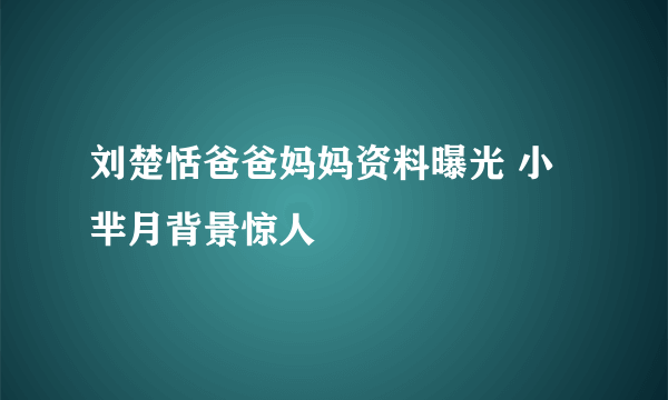 刘楚恬爸爸妈妈资料曝光 小芈月背景惊人