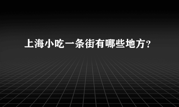 上海小吃一条街有哪些地方？