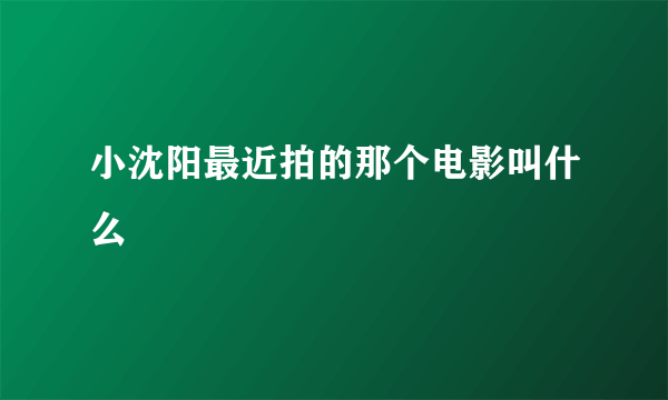 小沈阳最近拍的那个电影叫什么