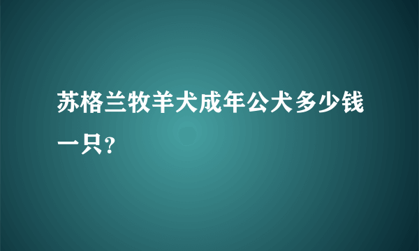 苏格兰牧羊犬成年公犬多少钱一只？