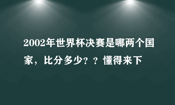 2002年世界杯决赛是哪两个国家，比分多少？？懂得来下