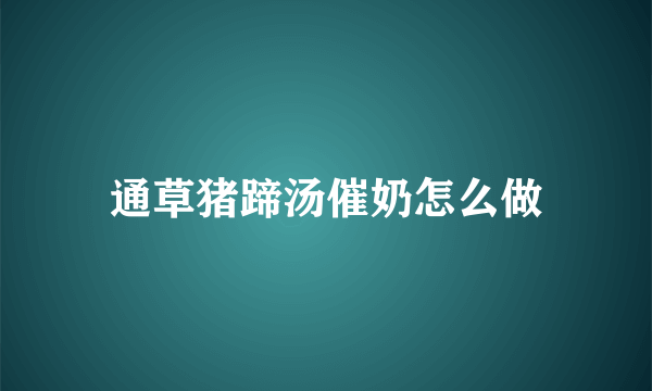 通草猪蹄汤催奶怎么做