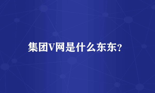 集团V网是什么东东？