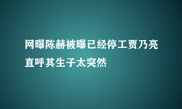 网曝陈赫被曝已经停工贾乃亮直呼其生子太突然