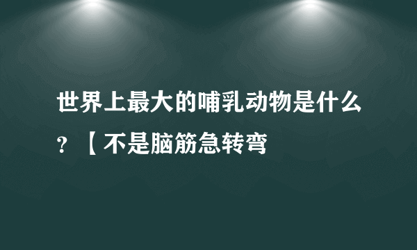 世界上最大的哺乳动物是什么？【不是脑筋急转弯