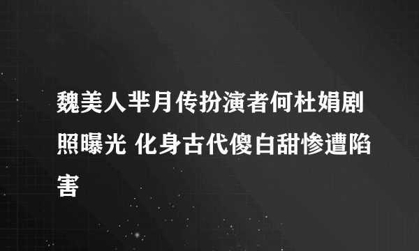 魏美人芈月传扮演者何杜娟剧照曝光 化身古代傻白甜惨遭陷害