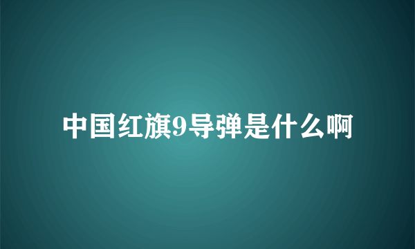 中国红旗9导弹是什么啊