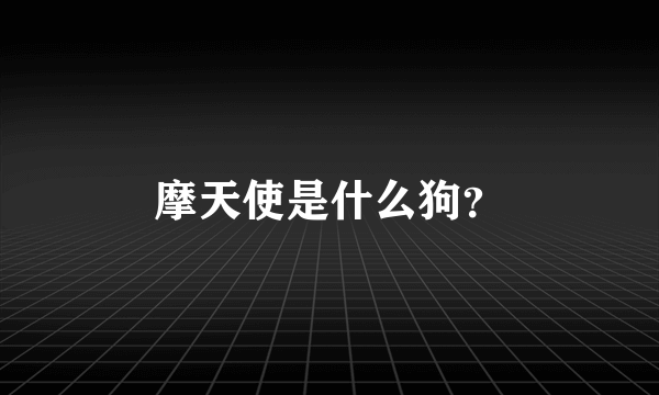 摩天使是什么狗？