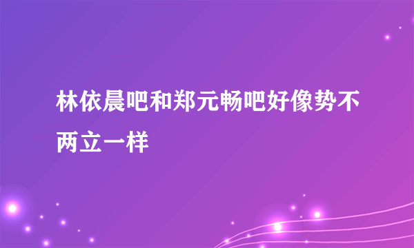 林依晨吧和郑元畅吧好像势不两立一样