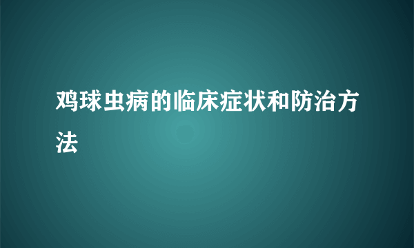 鸡球虫病的临床症状和防治方法