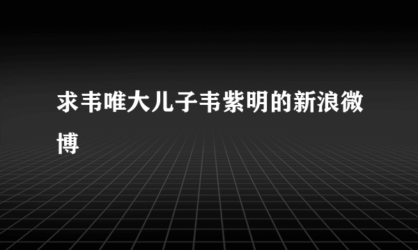 求韦唯大儿子韦紫明的新浪微博