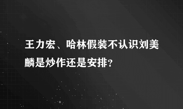 王力宏、哈林假装不认识刘美麟是炒作还是安排？