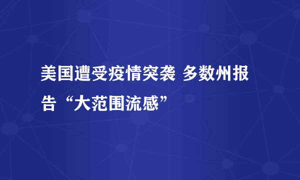 美国遭受疫情突袭 多数州报告“大范围流感”