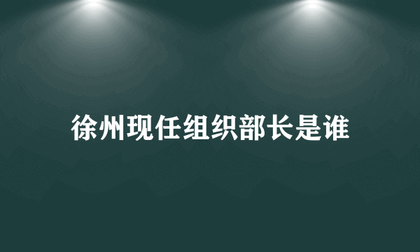 徐州现任组织部长是谁