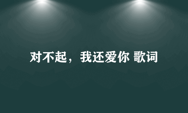 对不起，我还爱你 歌词